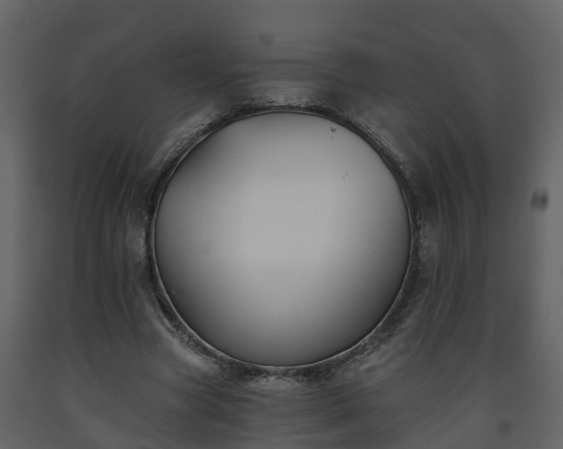 X0000093450537200710191104