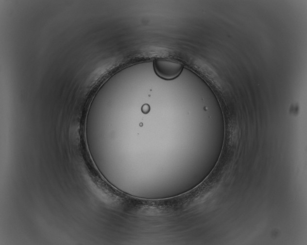 X0000093450538200710191104