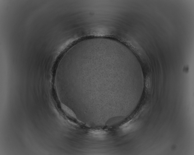 X0000093450540200710191104