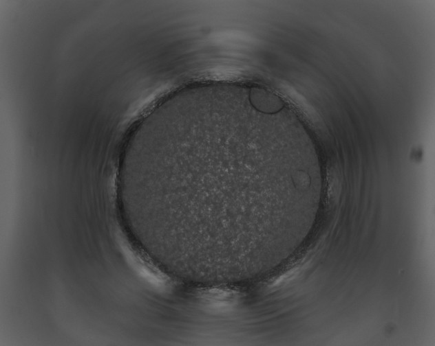 X0000093450542200710191104