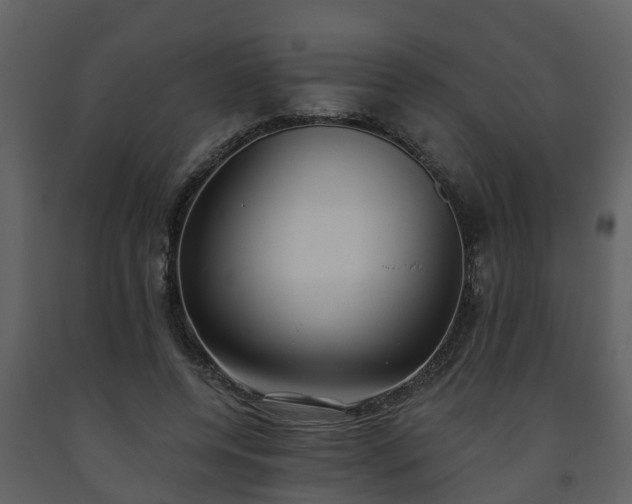 X0000093450544200710191104