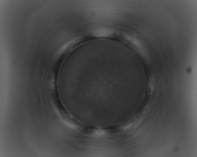 X0000093450547200710191104