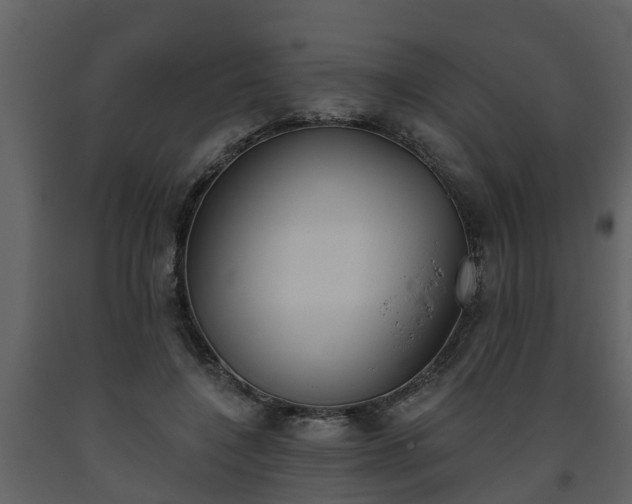 X0000093450548200710191104