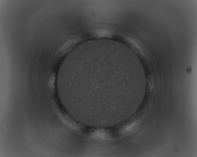 X0000093450550200710191105