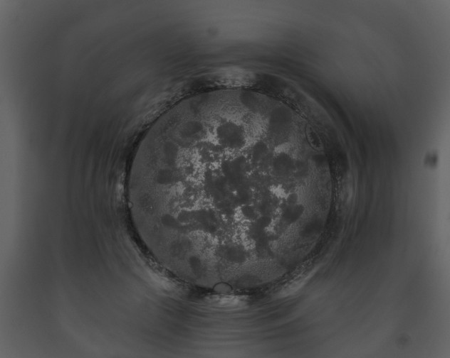 X0000093450553200710191105