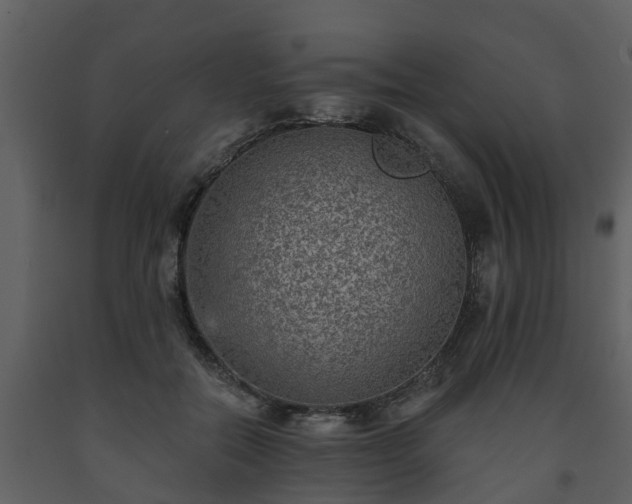 X0000093450554200710191105