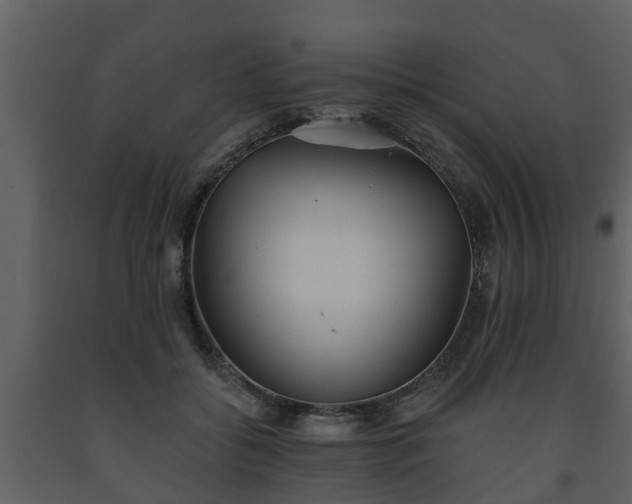 X0000093450556200710191105