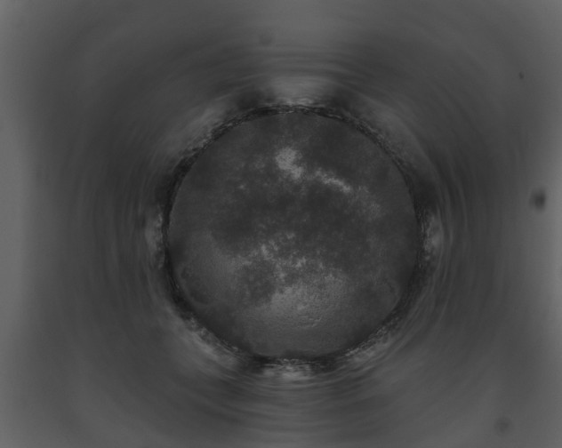 X0000093450559200710191105