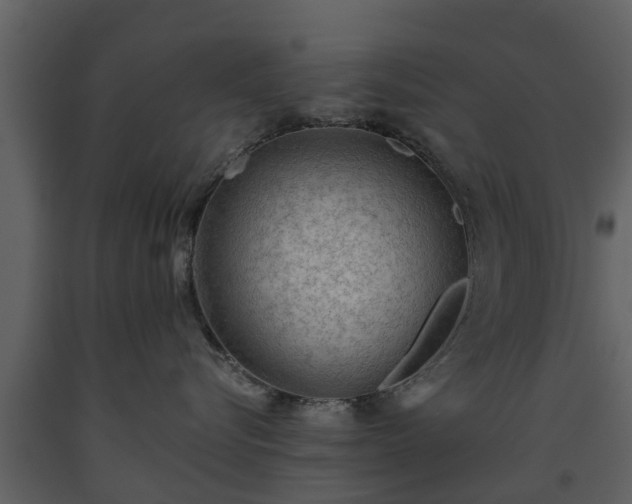 X0000093450576200710191105