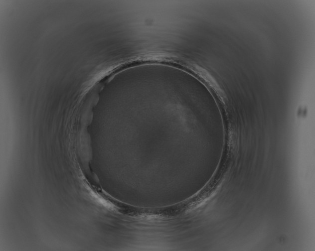 X0000093450577200710191104