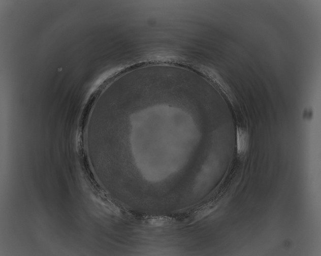 X0000093450579200710191104