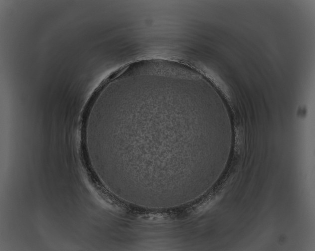 X0000093450580200710191104