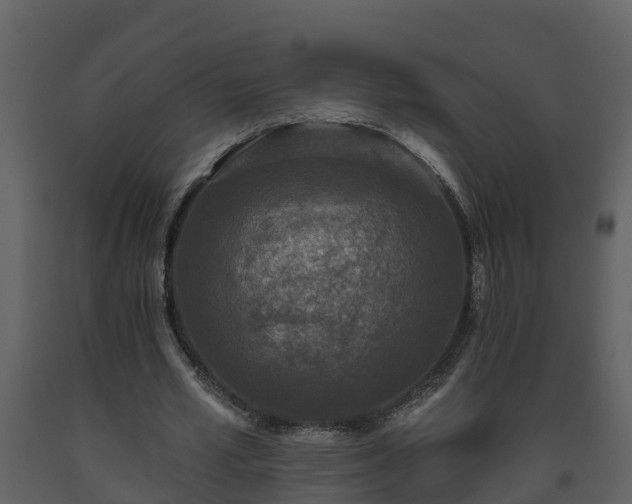 X0000093450581200710191104