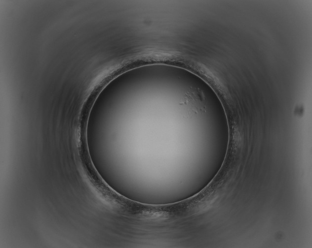 X0000093450582200710191104