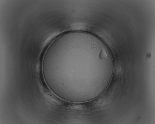 X0000093450583200710191104