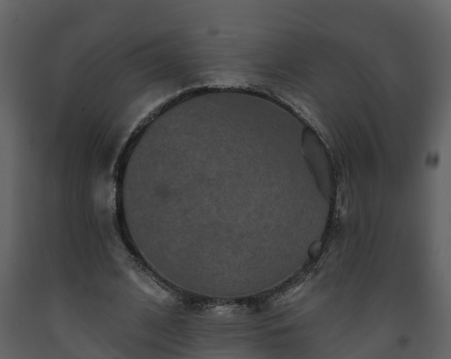 X0000093450584200710191104