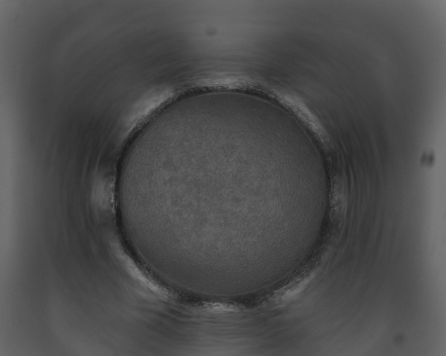 X0000093450585200710191104