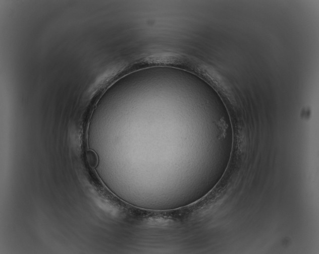 X0000093450586200710191104