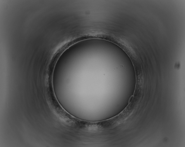 X0000093450587200710191104