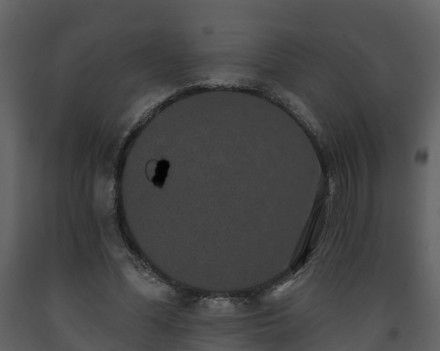 X0000093450588200710191104