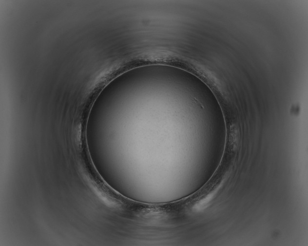 X0000093450589200710191104