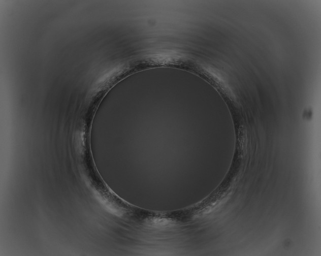 X0000093450590200710191104