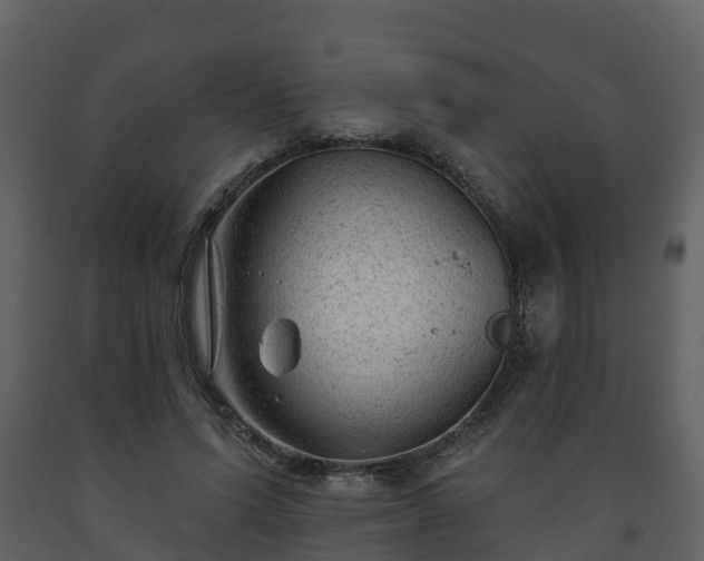 X0000093450591200710191104