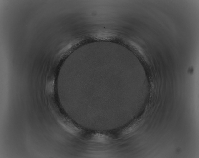 X0000093450596200710191104