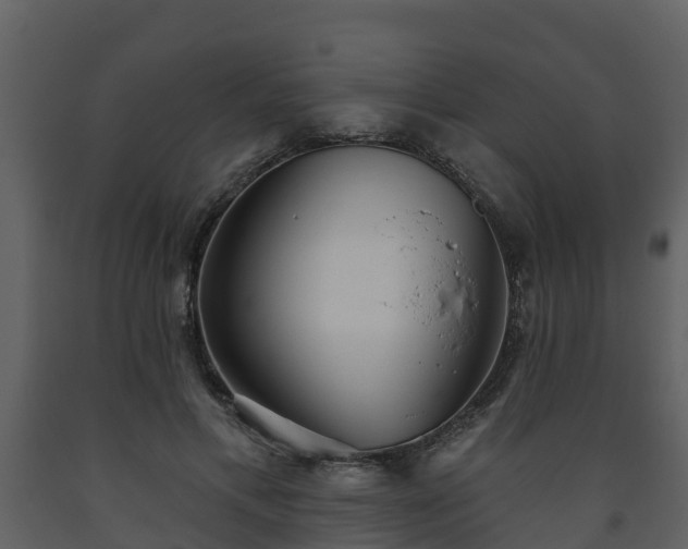 X0000093450597200710191104