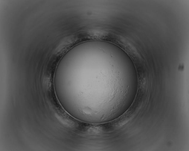 X0000093450599200710191104