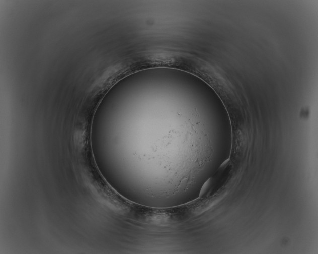 X0000093450600200710191104