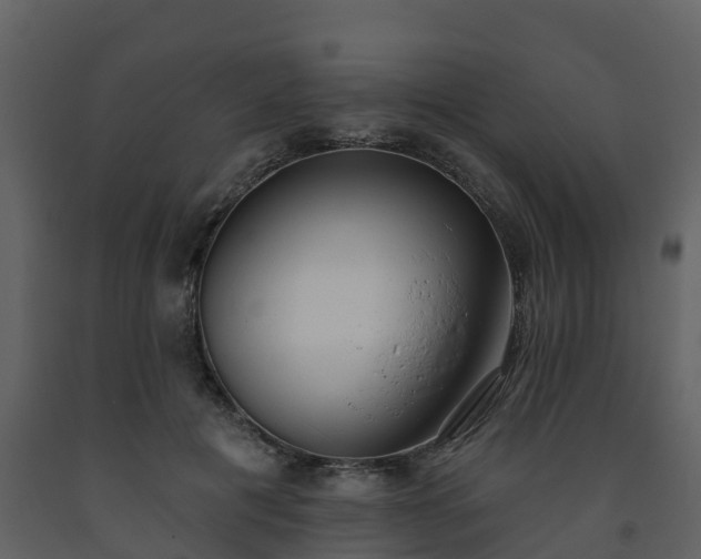 X0000093450601200710191104