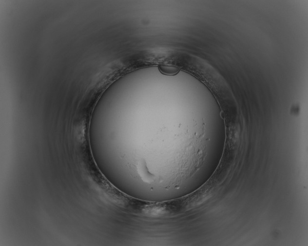 X0000093450602200710191104