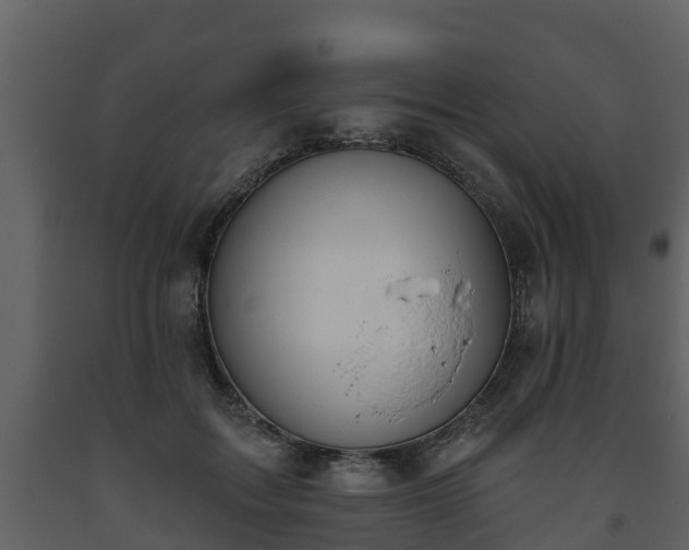 X0000093450603200710191104