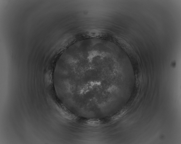 X0000093450606200710191104