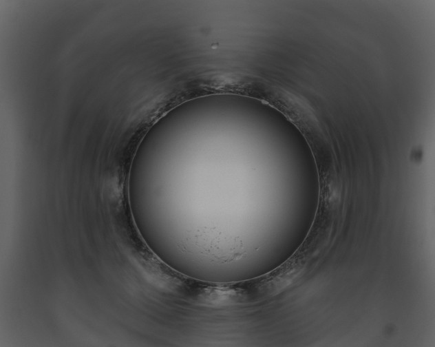 X0000093450607200710191104