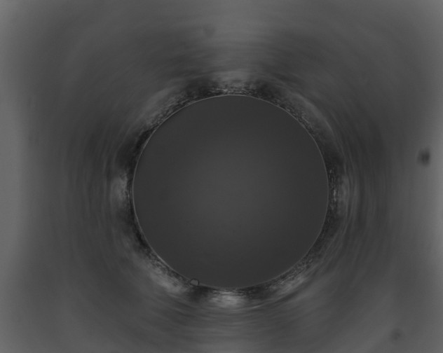 X0000093450610200710191104