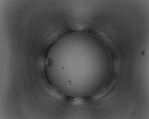 X0000093450612200710191104