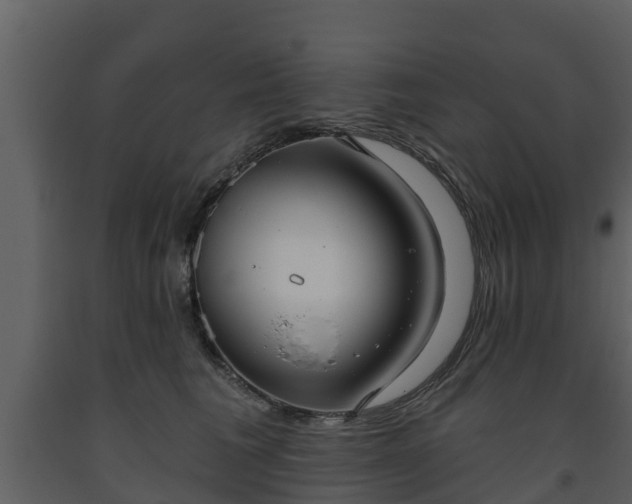 X0000093450613200710191104