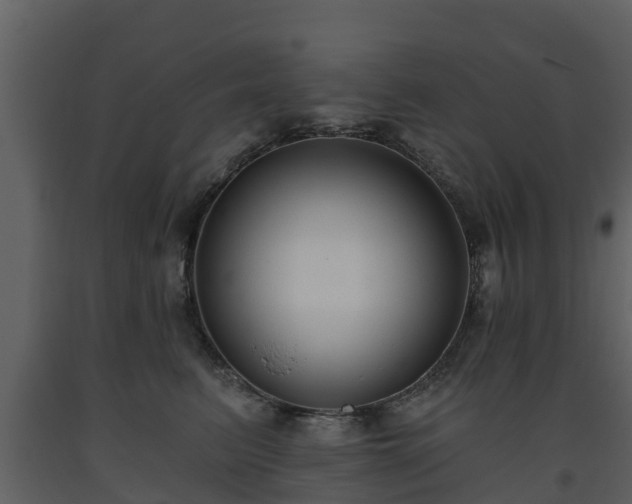 X0000093450615200710191104