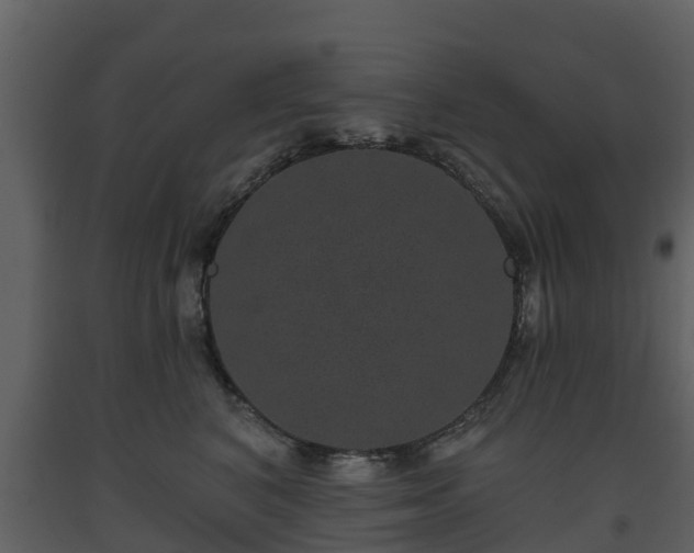 X0000093450616200710191104