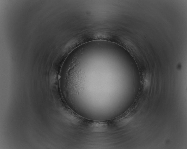 X0000093450619200710191104