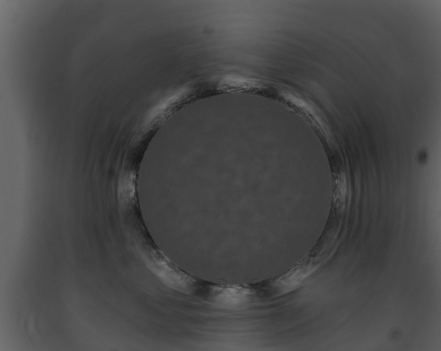 X0000093450621200710191104