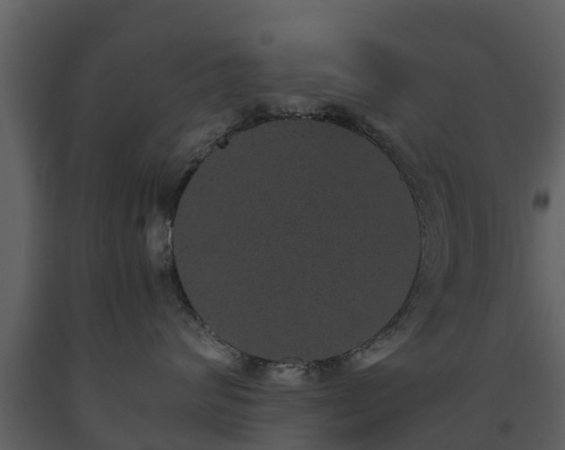 X0000093450624200710191104