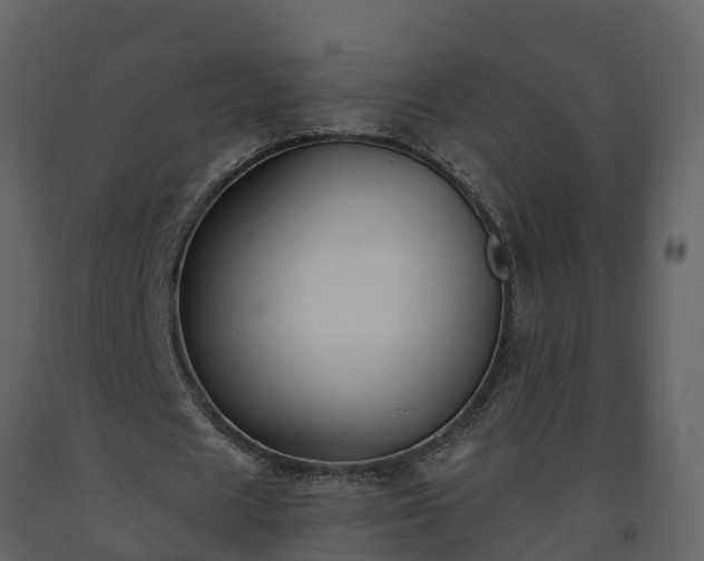 X0000093450625200710191103