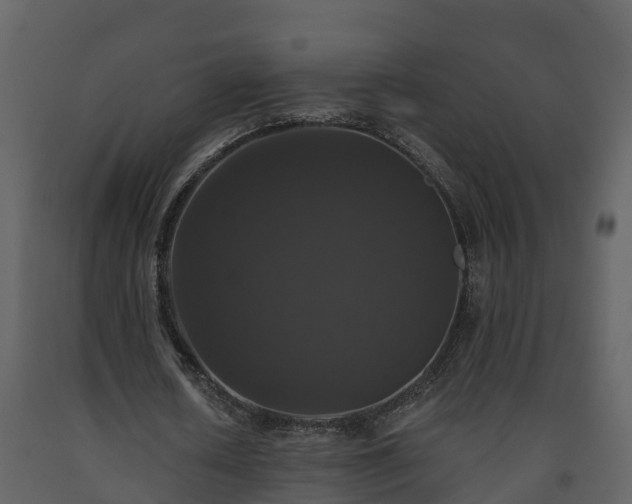 X0000093450626200710191103