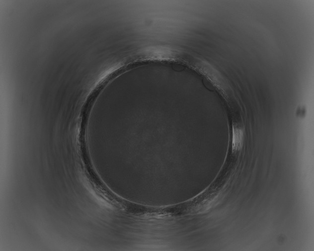 X0000093450627200710191103