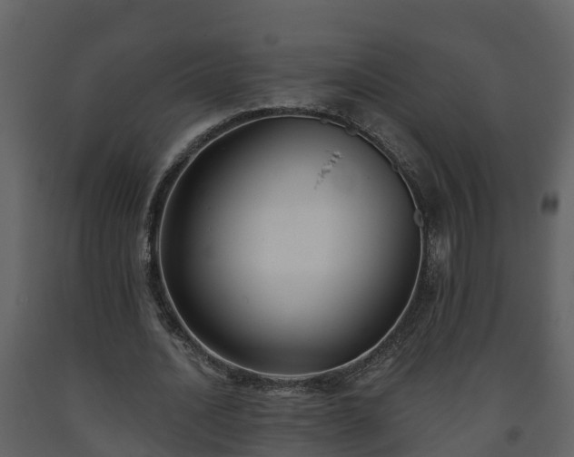 X0000093450628200710191103