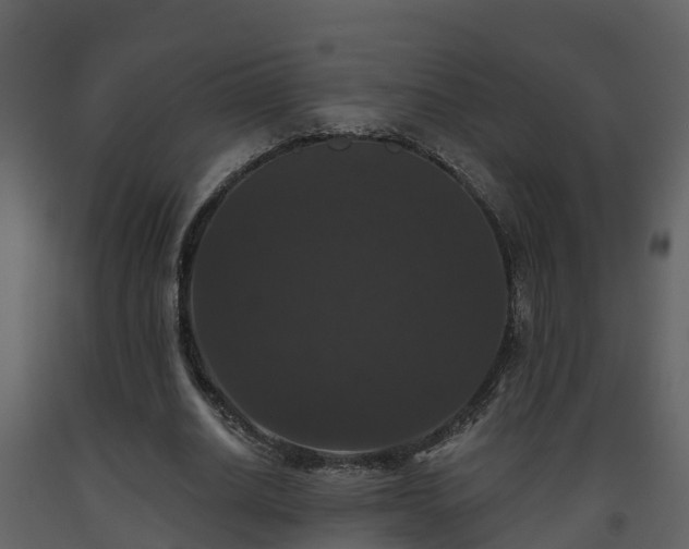 X0000093450630200710191103