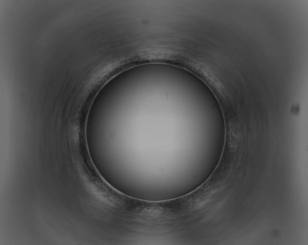 X0000093450631200710191103